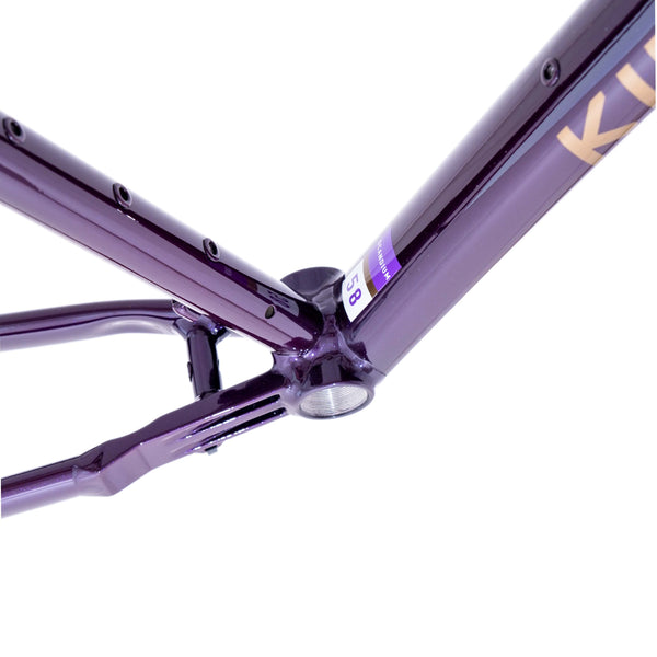 Kinesis GX Race Gravel Frameset